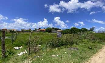 Imagem: Massagueira-Lote/Terreno para venda com