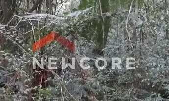 Imagem 7: Lote em Rua São Gotardo - São Bernardo - São Francisco de Paula/RS