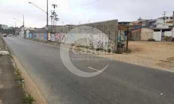 Imagem 4: Exceçlente terreno plano regente feijo 3254 metros