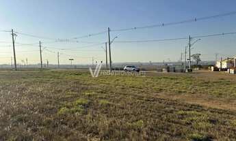 Imagem 2: Terreno Paulinia a venda em oportunidade Terras da Fazenda