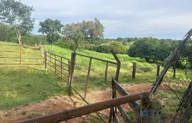 Imagem: Chácara no município de Mara Rosa 4,2