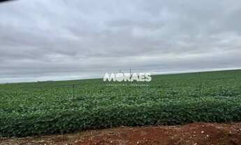 Imagem 7: Fazenda à venda, 2.904.000 m² por R$ 39.600.000 - Zona Rural - Itapeva/SP