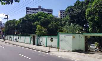 Imagem 2: TERRENO 5.000M2 AV.DARCY VARGAS, TERRENO 6.000M2 AV. TORQUATO TAPAJOS, MANAUS-AM