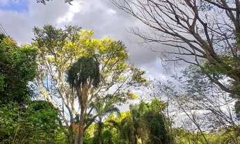 Imagem 4: Lote de Esquina no Santuário de Paz e Verde