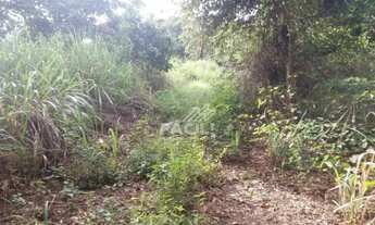 Imagem 4: VENDE-SE CHÁCARA 3 ALQ - LOTEAMENTO ÁGUA FRIA