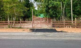 Imagem: Vende se um sítio na estrada de novo Airão,150