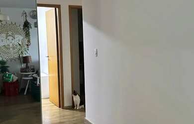 Imagem 2: Alugo apartamento mobiliado - Encruzilhada - Excelente localização