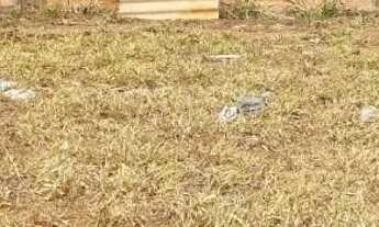 Imagem 3: 2 Lotes a venda, 360m² cada um - Residencial Jardins Do Cerrado 2 - Goiânia/GO