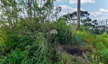 Imagem 4: Vendas Terreno Colombo PR