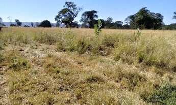 Imagem 6: Fazenda à Venda em Itarumã-GO 103 Alqueires Terra Plana