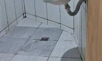 Imagem 6: Casa a venda 60 mil ( Area verde ) Nucleo santa Marta Santa marta