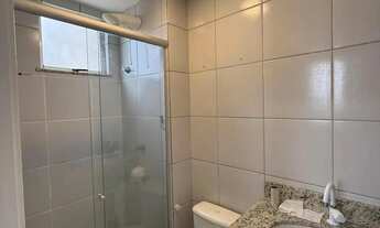 Imagem 4: PALMEIRAS 3 | MARIO ANDREAZZA