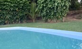 Imagem 4: Aluguel carnaval