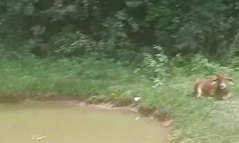 Imagem 7: Monte Sua Chácara ou Imóvel para Airbnb em São Roque Lotes à Venda