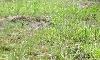 Imagem 3: Sitio caetite 18 ha. 2 km da cidade