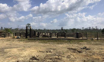 Imagem 6: Fazenda à venda no município de Anapu, Pará com 781 alqueires