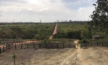 Imagem 5: Fazenda à venda no município de Anapu, Pará com 781 alqueires