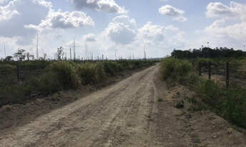 Imagem 2: Fazenda à venda no município de Anapu, Pará com 781 alqueires