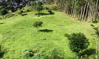 Imagem 7: Vendo sitio Chácara com venda por R$185.000