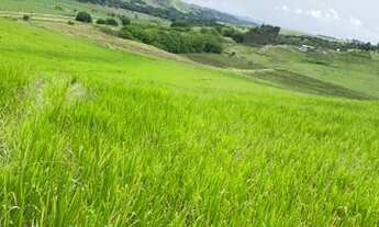 Imagem 4: G17- lotes com topografia plaina