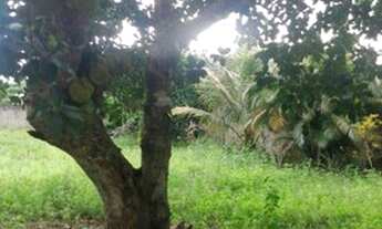 Imagem 6: Oportunidade terreno plano