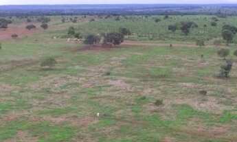 Imagem: Fazenda com aproveitamento de 80 para soja