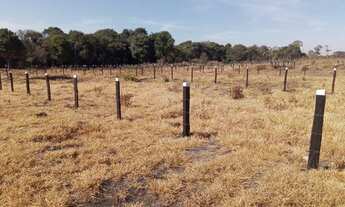 Imagem 5: Vende-se um lote na 26 de setembro