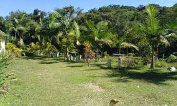Imagem 6: Lindo sitio 1,5 alq.- lago - casa - 5km Tapirai - R$360.000