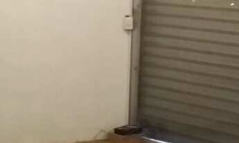 Imagem 2: PORTO ALEGRE - Galpão/Depósito/Armazém - SAO GERALDO