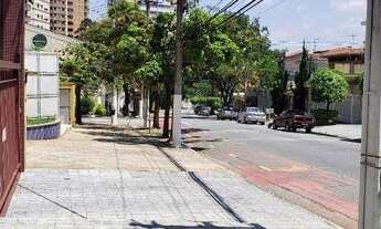 Imagem 3: VENDO BELÍSSIMO APARTAMENTO COM 266m2 - 3 SUÍTES - 4 VAGAS DE GARAGEM