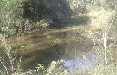 Imagem 2: CHÁCARA com 3 dormitórios à venda com 24204m² por R$ 700.000,00 no bairro Roseira - COLOMB