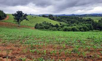 Imagem 5: Sítio - Fazenda Plaina em Jacutinga - MG