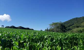 Imagem: 3 Alqueires em Monte Sião - MG 100 Mecanizavel