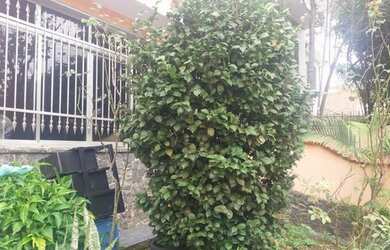 Imagem 2: Casa de 111 metros quadrados no bairro Casa Verde com 2 quartos