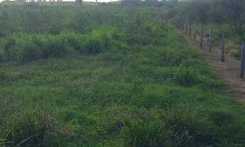 Imagem 4: Fazendinha 32 alqueires! 17 km de Eldorado!