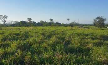 Imagem 6: Fazendinha 32 alqueires! 17 km de Eldorado!