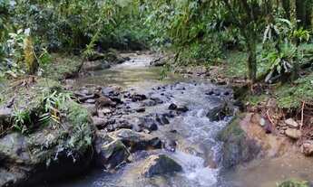 Imagem 4: Sítio com enorme cachoeira