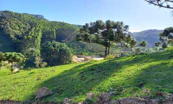 Imagem 4: ANITÁPOLIS/SC - Terreno a venda a 3km do centro com 11hectares