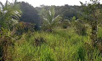 Imagem 6: Vende-se ou troca