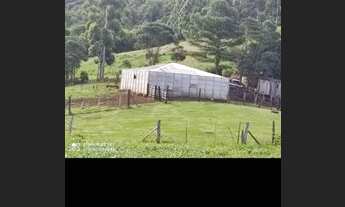 Imagem: Sítio 5 alqueires em pitanga