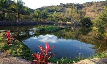 Imagem: Fazenda a venda