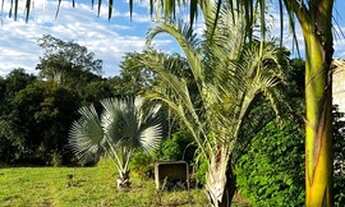 Imagem 4: Granja Goianá Chácara com venda por R$129.000
