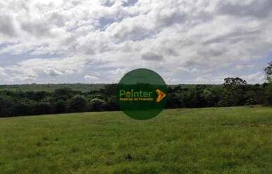 Imagem 4: Fazenda com 2 dormitórios à venda, 2100000 m² por R$ 18.000.000 - Zona Rural - Duerê/TO