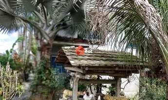 Imagem 6: Casa para aluguel, 2 quartos, 1 suíte, João Pessoa - Jaraguá do Sul/SC