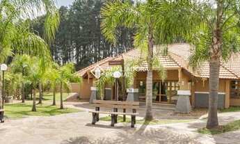 Imagem: SãO LEOPOLDO - Terreno Padrão - Santo