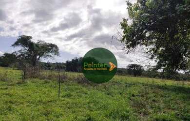 Imagem 6: Fazenda com 2 dormitórios à venda, 2100000 m² por R$ 18.000.000 - Zona Rural - Duerê/TO