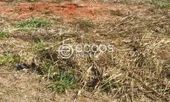 Imagem: Terreno à venda, Novo Mundo - Uberlândia/MG