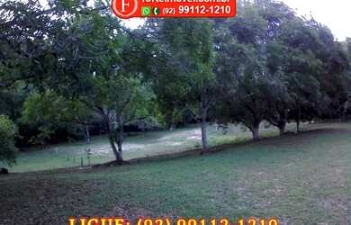 Imagem 4: Terreno de 60.900m2 no KM 1 da BR 174 - Próximo da Barreira Policial