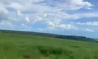 Imagem 5: Fazenda á venda em Paranatinga-MT