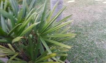 Imagem 6: Sobrado Lindo Casa com 5 dormitórios